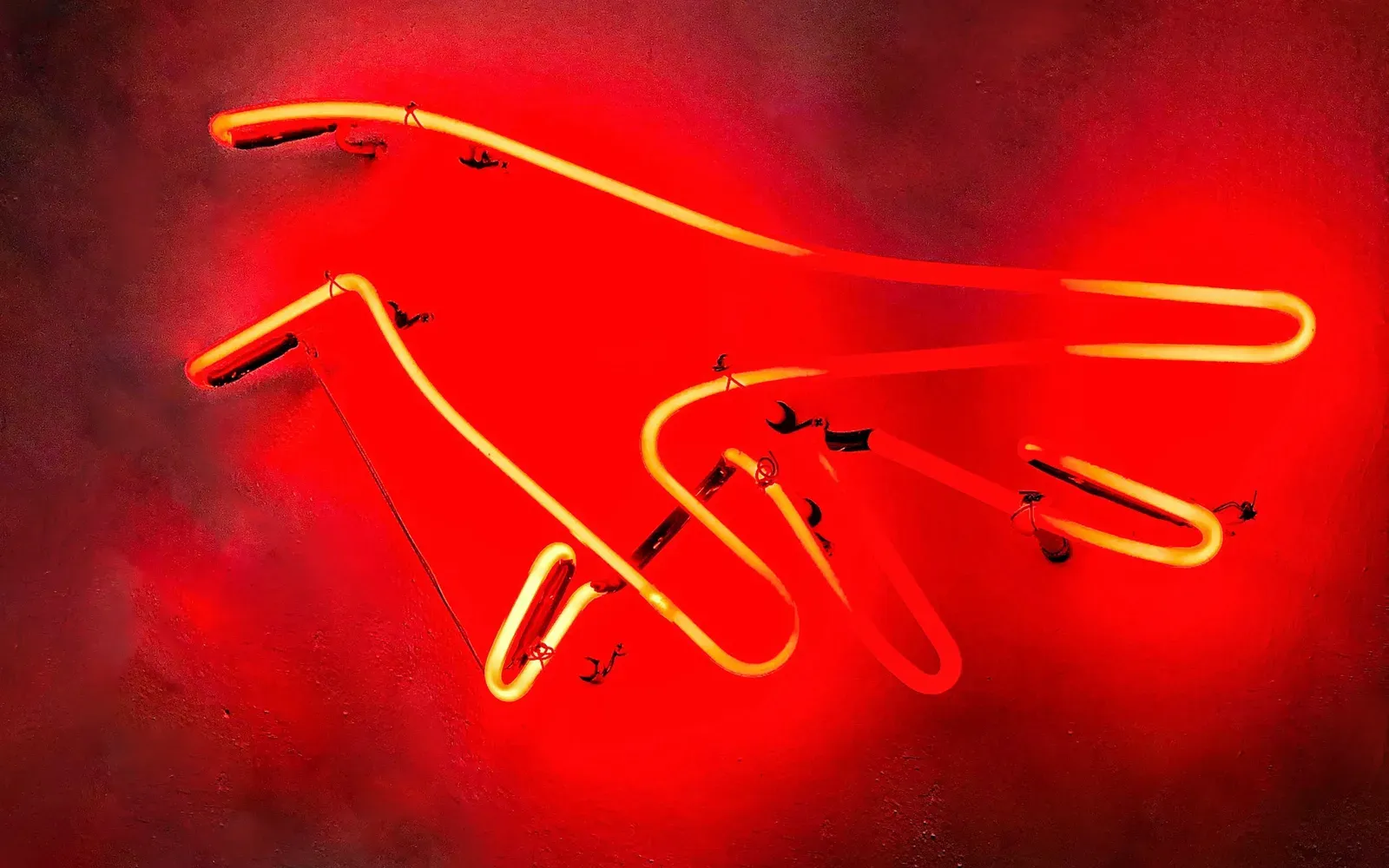 Rot leuchtende Neon-Hand vor rotem Hintergrund